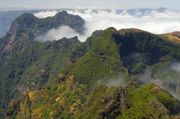 Paesaggio dell'isola di Madeira — Foto Stock