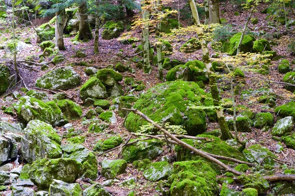 Ordesa Milli Parkı — Stok fotoğraf