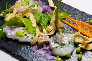 Marine tarak görünümü