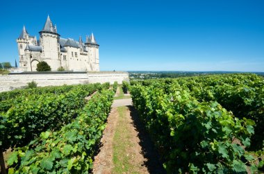 Saumur kale Loire Valley