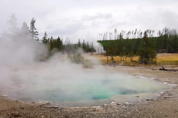 Yellowstone-Nationalpark — Stockfoto