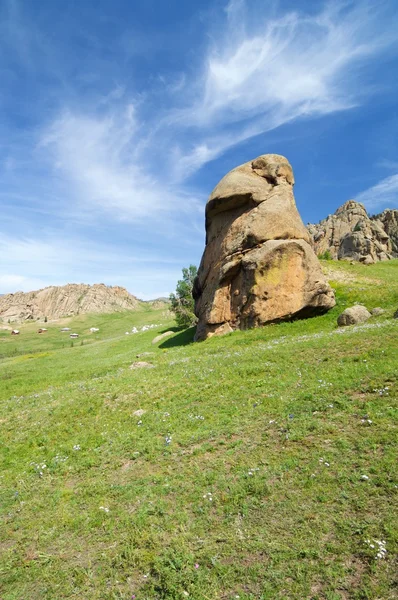 Vista del paisaje mongol —  Fotos de Stock