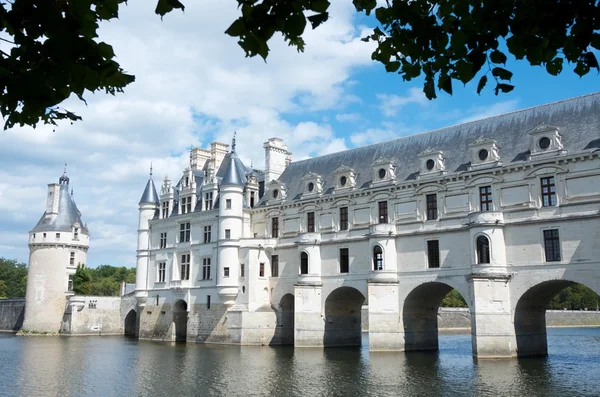 Castillo de Chenonceau en el valle del Loira Fotos De Stock Sin Royalties Gratis