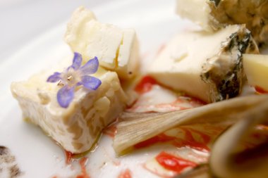 peynir yakın çekim