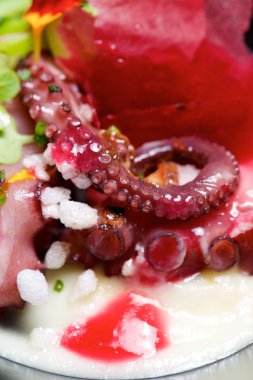 Ahtapot tapa görünümü