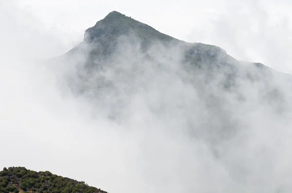 Madeira Island landscape — Stock Photo, Image
