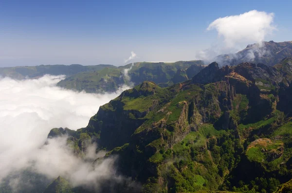 Madeira ön landskap — Stockfoto