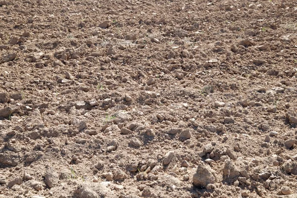 Farmland close up — Stock Photo, Image