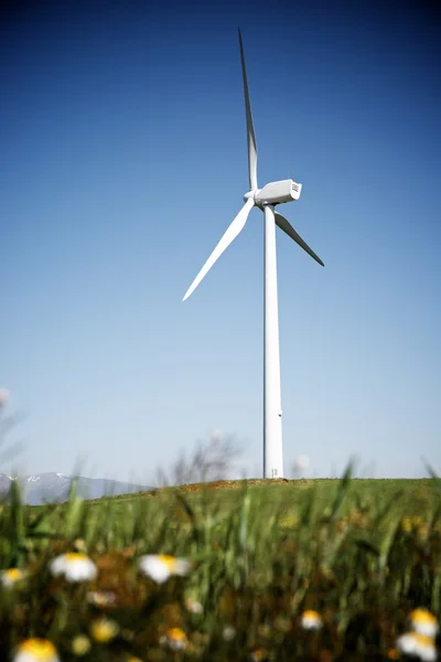 Vista de energía eólica . —  Fotos de Stock