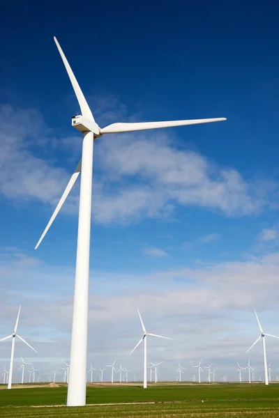 Conceito de energia eólica — Fotografia de Stock