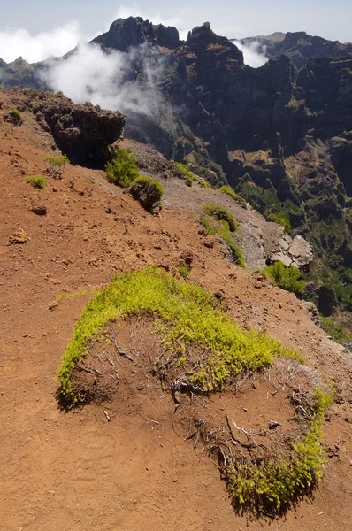 Madeira vista sul paesaggio — Foto Stock
