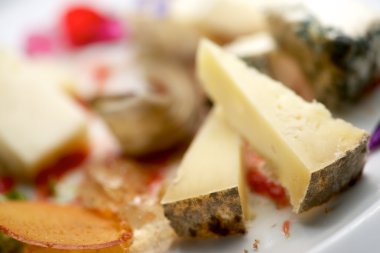 peynir yakın çekim