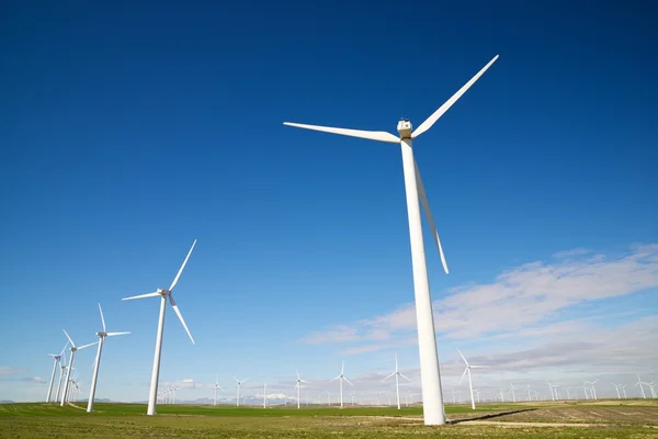 Concepto energía eólica —  Fotos de Stock