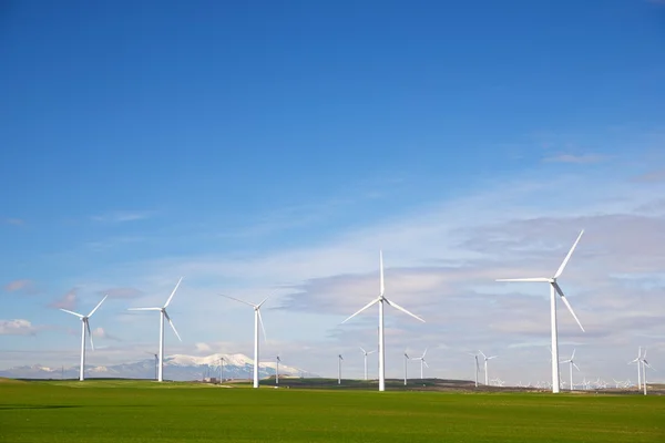 Concepto energía eólica — Foto de Stock