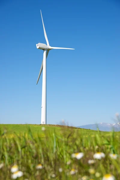 Concepto energía eólica —  Fotos de Stock