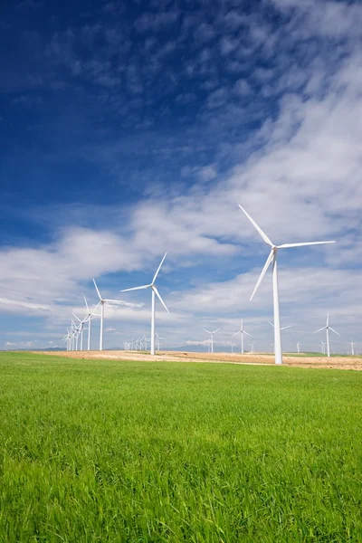 Concepto energía eólica —  Fotos de Stock