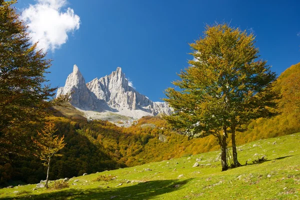 Fransa'da Pirene — Stok fotoğraf