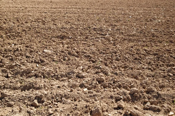 Farmland close up — Stock Photo, Image