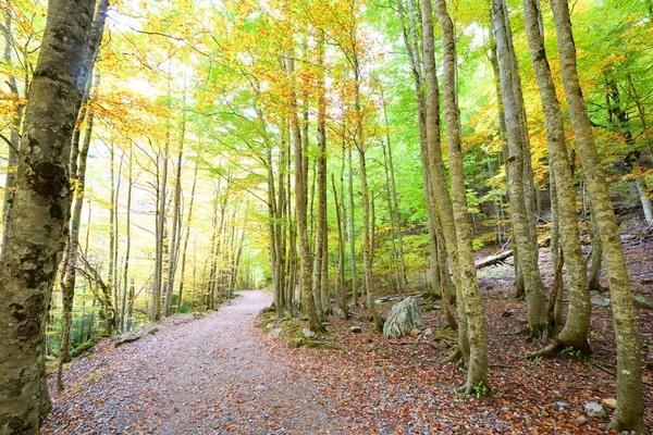 Parco nazionale di Ordesa — Foto Stock