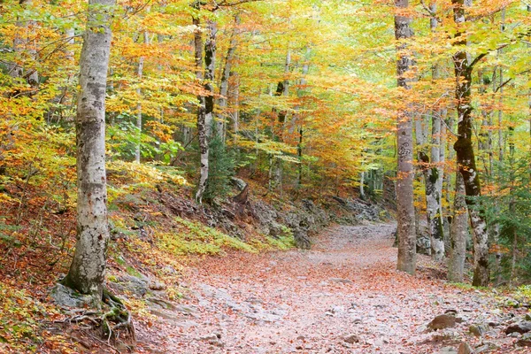 Ordesa Milli Parkı — Stok fotoğraf