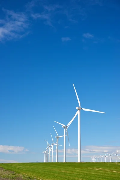 Concepto energía eólica — Foto de Stock