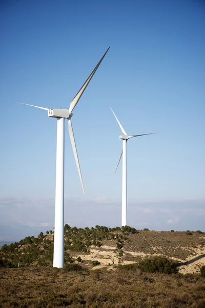 Conceito de energia eólica — Fotografia de Stock