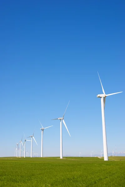 Concepto energía eólica — Foto de Stock