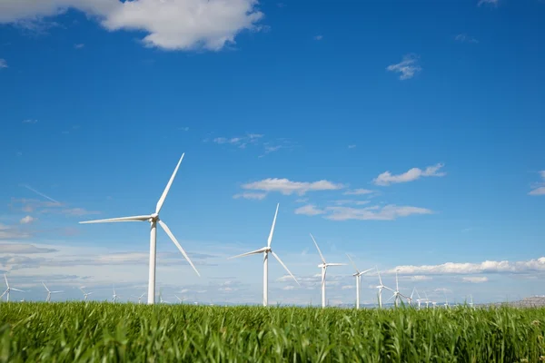 Concepto energía eólica —  Fotos de Stock