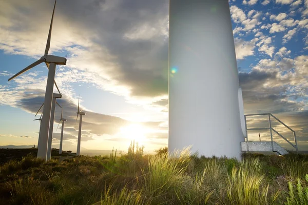 Vista da energia eólica — Fotografia de Stock