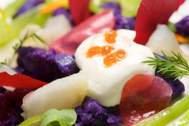 Rus salatası yakın çekim