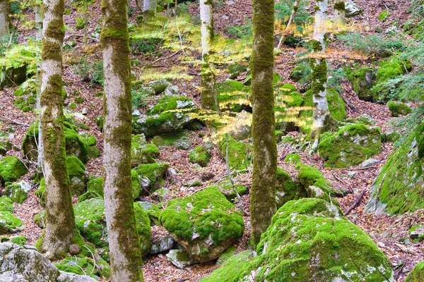 Ordesa National Park — Stock Photo, Image