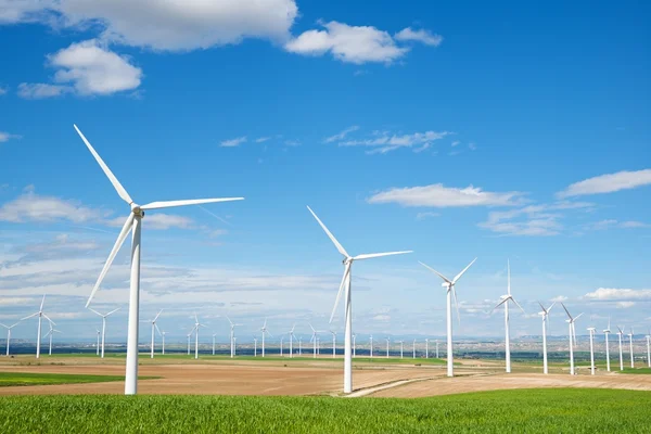 Concepto energía eólica —  Fotos de Stock