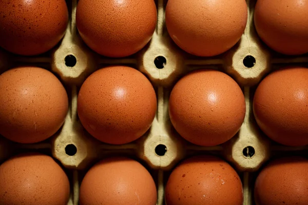 Primer Plano Los Huevos Cartón —  Fotos de Stock
