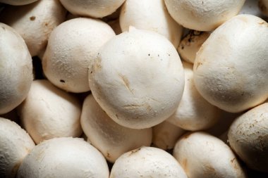 Beyaz mantarlara yakın çekim.