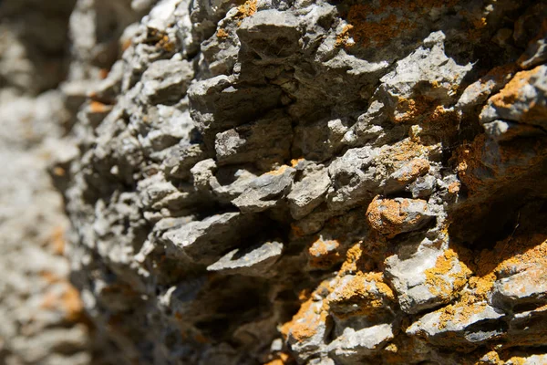 Stone Background Close High Resolution — Stock Photo, Image