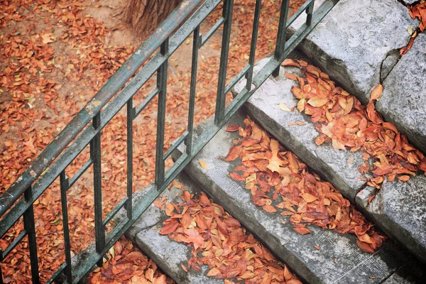 Hojas Otoño Caídas Una Escalera Piedra —  Fotos de Stock