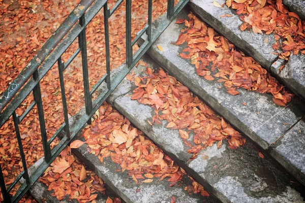 Hojas Otoño Caídas Una Escalera Piedra —  Fotos de Stock