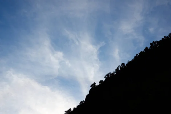 Silhouette Some Trees Canfranc Valley Huesca Province Pyrenees Aragon Spain — Stock Photo, Image