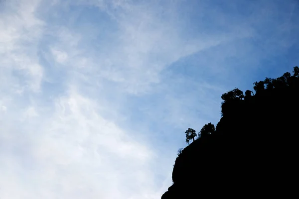 스페인의 피레네산맥 아라곤 골짜기에 얼마의 나무들의 실루엣 — 스톡 사진