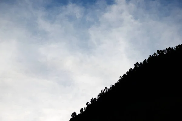 Silhouette Alcuni Alberi Nella Valle Del Canfranc Provincia Huesca Pirenei — Foto Stock