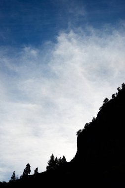 Canfranc vadisinde bazı ağaçların silueti, Huesca vilayeti, Pireneler, İspanya Aragon.