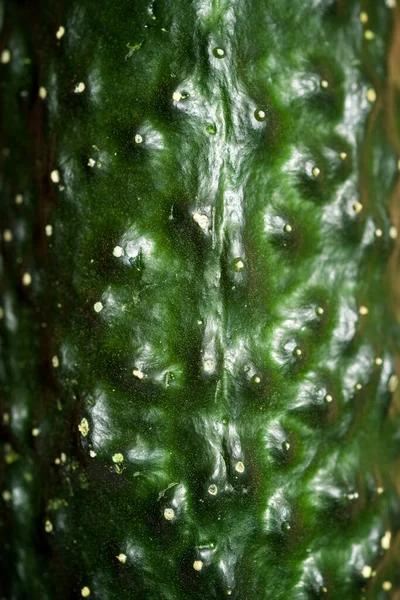 Close Rough Skin Cucumber — Stock Photo, Image