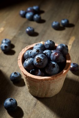 Terasotta kasesinde yaban mersini yakın..