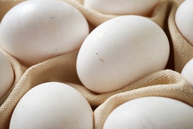 Bulaşık bezine yakın plan yumurta..