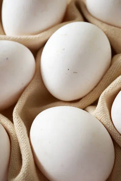 식기세척기 달걀을 클로즈업 — 스톡 사진