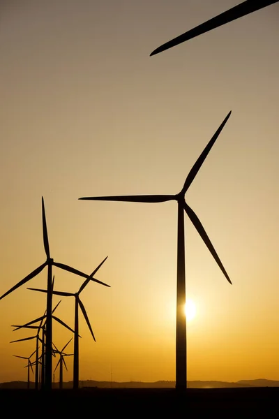 Moulins Vent Pour Production Électricité Province Saragosse Aragon Espagne — Photo