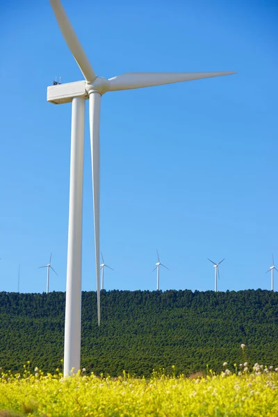 Moinhos Vento Para Produção Energia Eléctrica Província Zaragoza Aragão Espanha — Fotografia de Stock