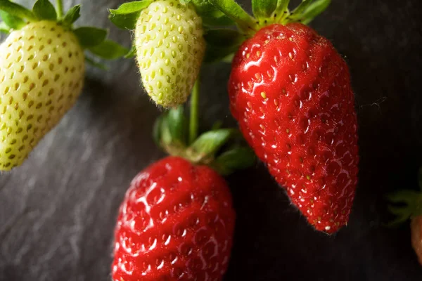Ripening Strawberries Slate Wall — Stock Photo, Image