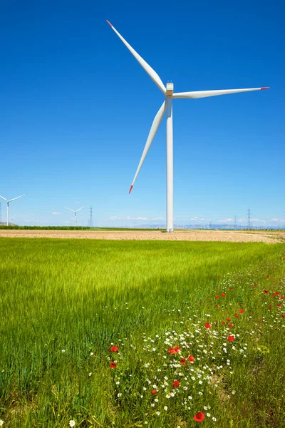 Eoliennes Pour Production Électricité Province Saragosse Aragon Espagne — Photo