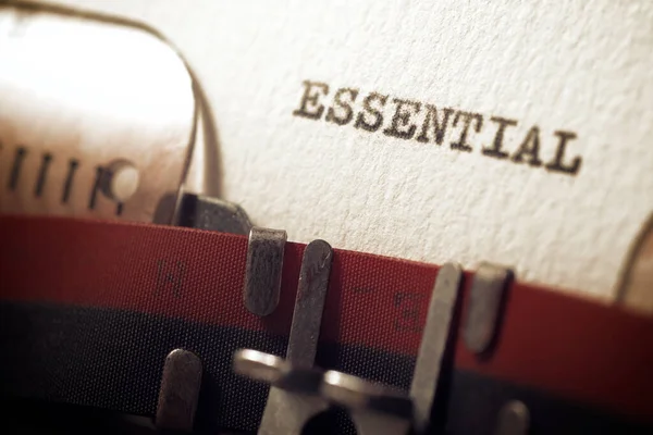 Word Essential Written Typewriter — Stok fotoğraf